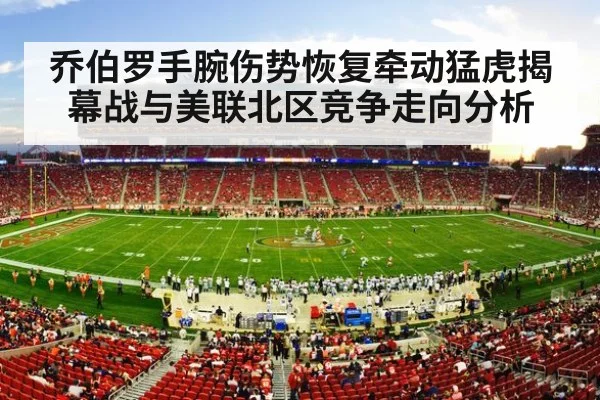 american football stadium crowd