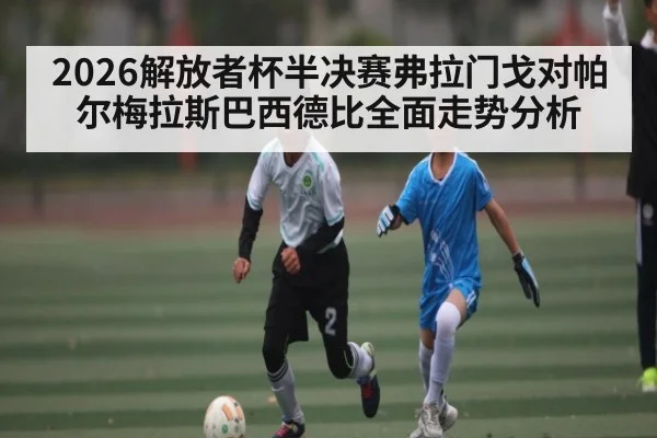 2026解放者杯半决赛弗拉门戈对帕尔梅拉斯巴西德比全面走势分析 - kaiyun
